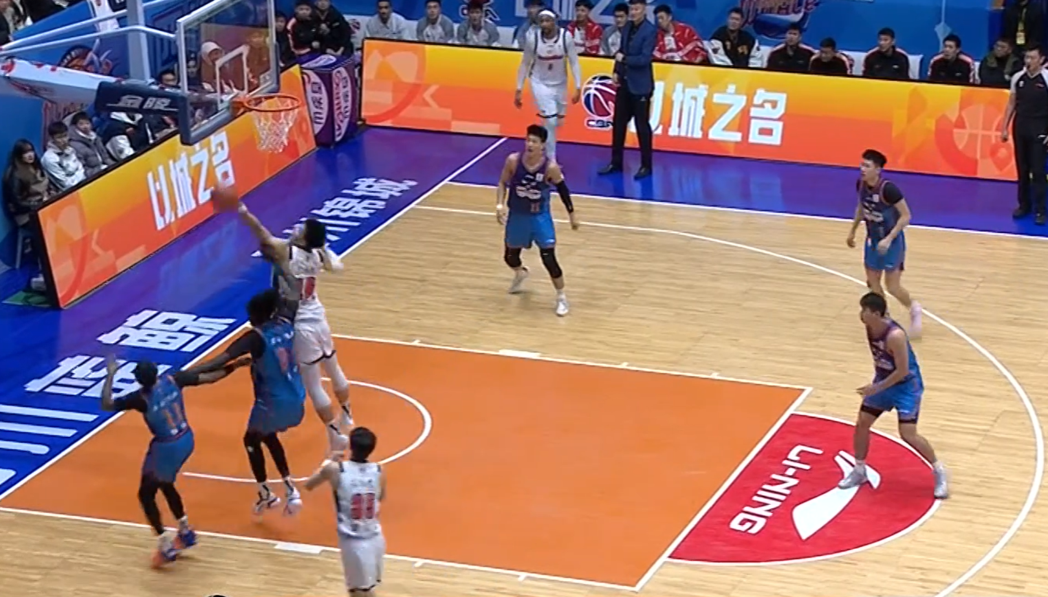 8868体育官网-有趣!CBA赛场来了一个不速之客 球迷:头一回见